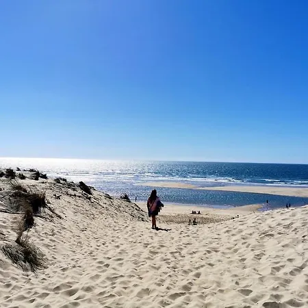 Mobil Moderne De 40m2 Confort Siblu Les Charmettes 785 La Palmyre