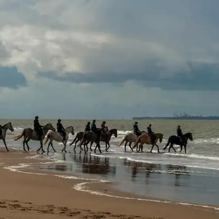 Mobil Moderne De 40m2 Confort Siblu Les Charmettes 785 La Palmyre *