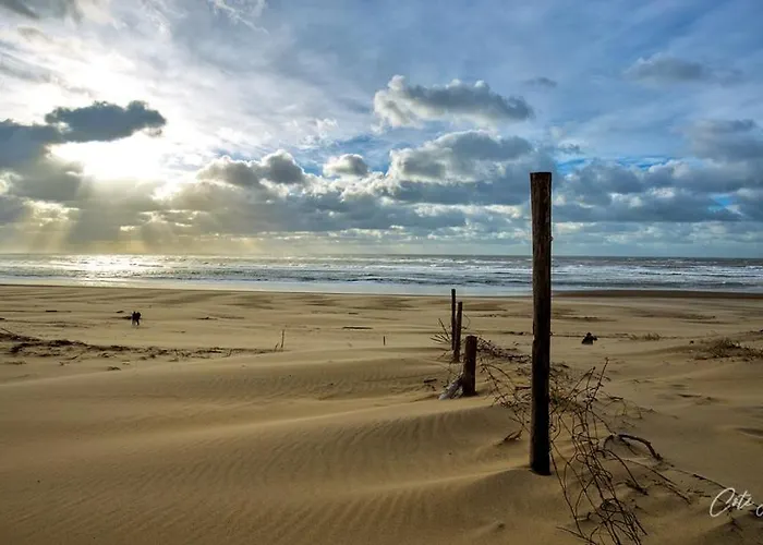 Mobil Moderne De 40m2 Confort Siblu Les Charmettes 785 La Palmyre Διαμέρισμα Les Mathes