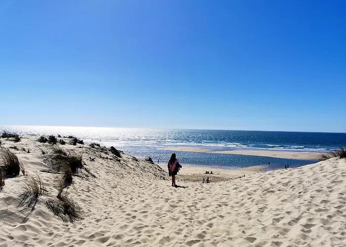 Mobil Moderne De 40m2 Confort Siblu Les Charmettes 785 La Palmyre *