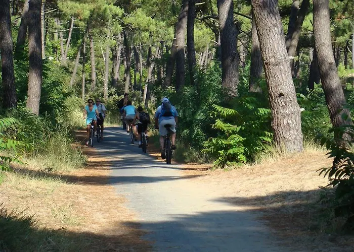 Διαμέρισμα Mobil Moderne De 40m2 Confort Siblu Les Charmettes 785 La Palmyre