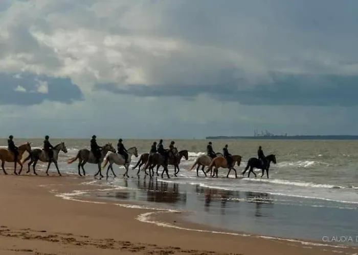 Mobil Moderne De 40m2 Confort Siblu Les Charmettes 785 La Palmyre *