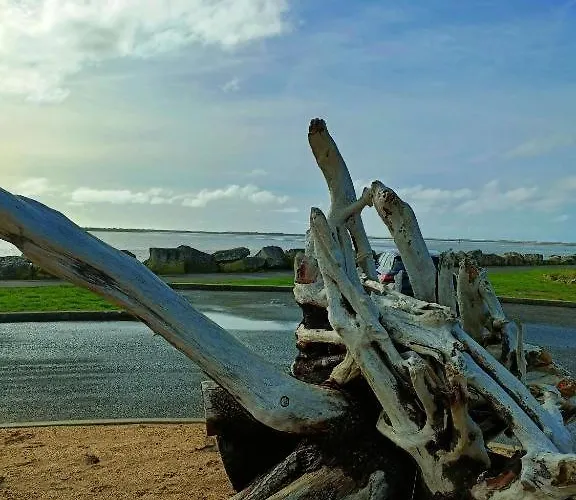 Mobil Moderne De 40m2 Confort Siblu Les Charmettes 785 La Palmyre Διαμέρισμα