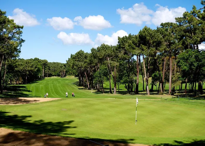 Διαμέρισμα Mobil Moderne De 40m2 Confort Siblu Les Charmettes 785 La Palmyre *